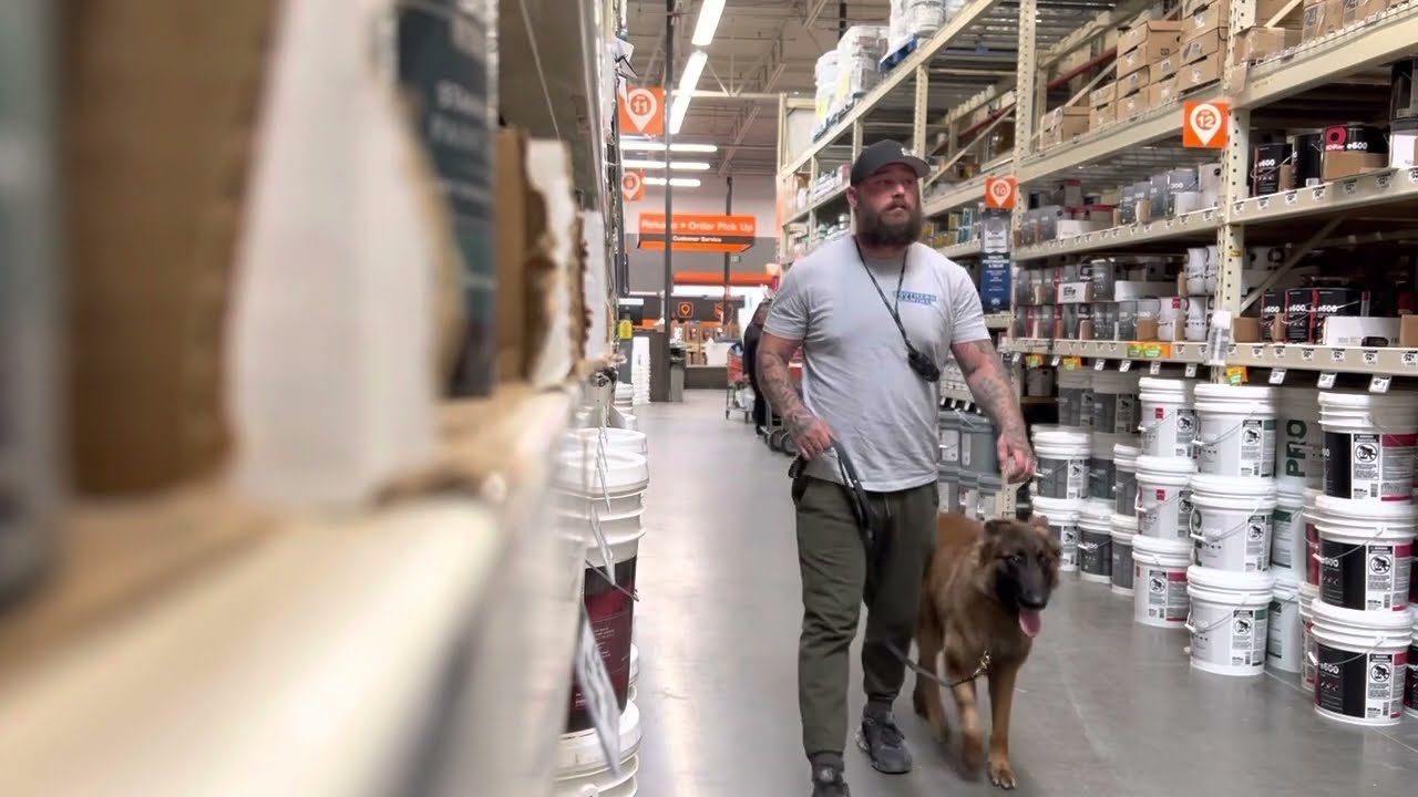 Reno elite protection dog out for a shopping day