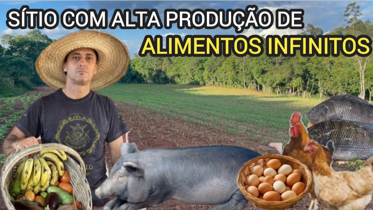 SÍTIO DE 1 HECTARE ALTO SUSTENTÁVEL