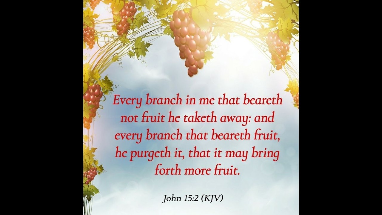 JOHN 15:1-9 - THE VINE-GROWER AND THE BRANCHES - PASTOR ED, CALVARY BAPTIST CHURCH OF LARKSPUR