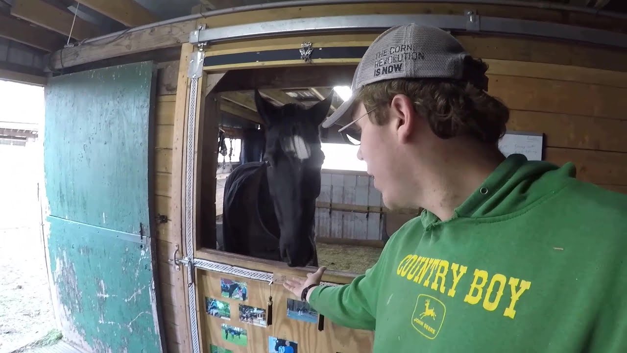 A STABLE JOB