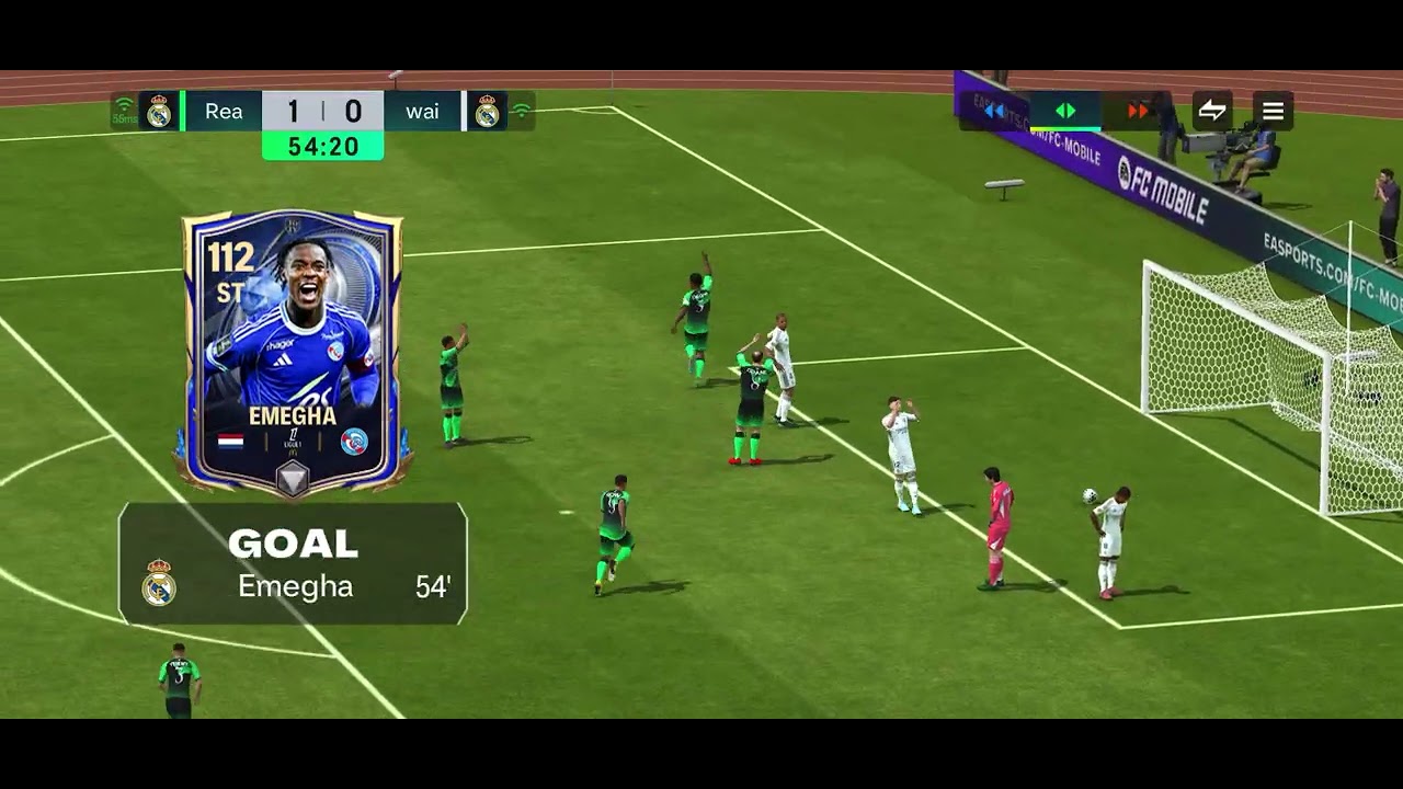 Fc