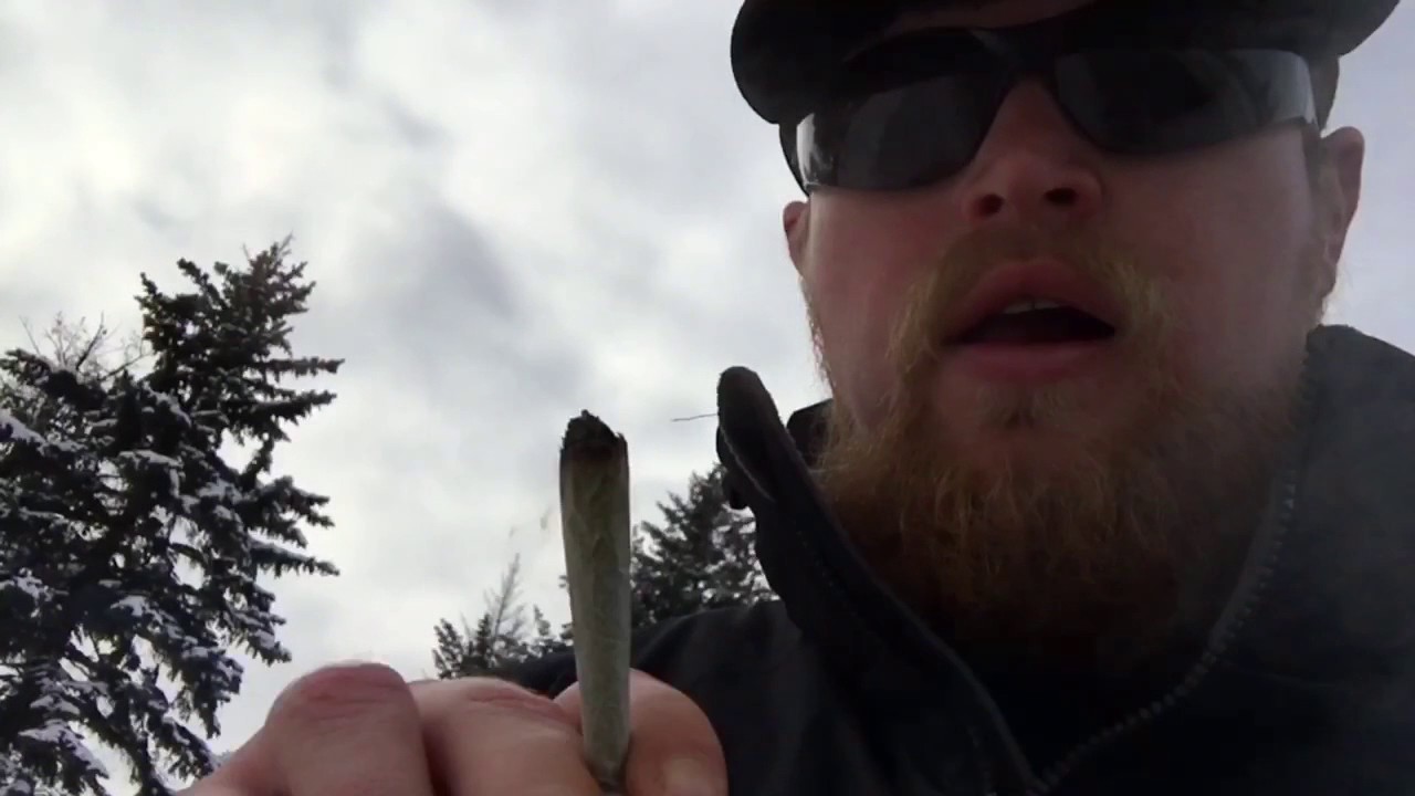 White LSD Strain Review