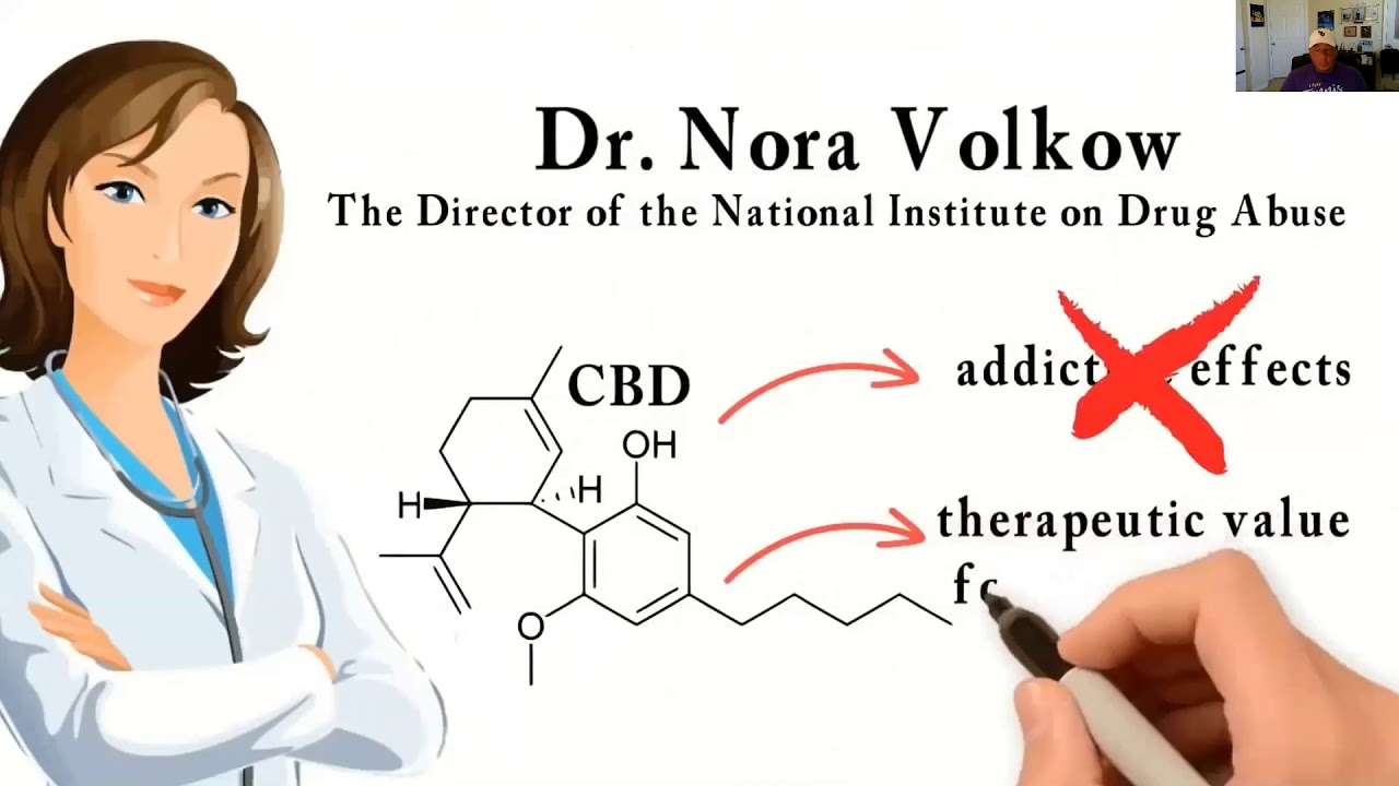 Making Money with CBD and Cannabis