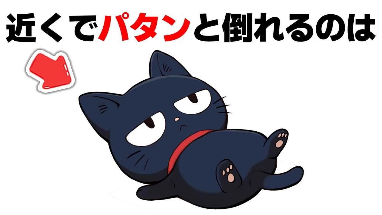 【猫雑学】猫のことをもっと好きになるかわいい雑学14選