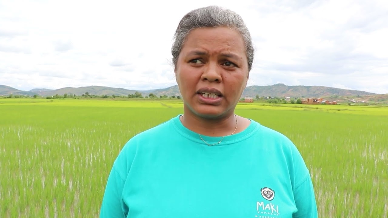 Tohadrano Tongoloina Ampahitrosy
