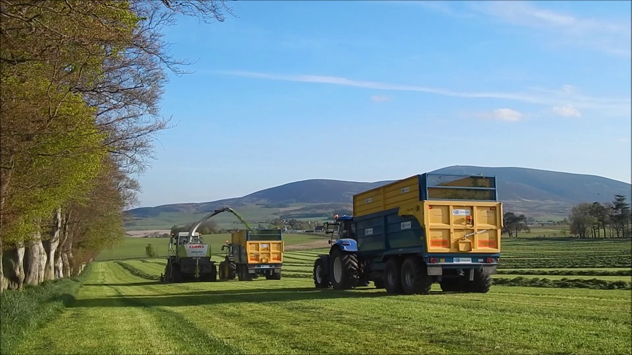 Roadhead Farm chopping first cut silage 2017 ~ ScottishAgriVIds