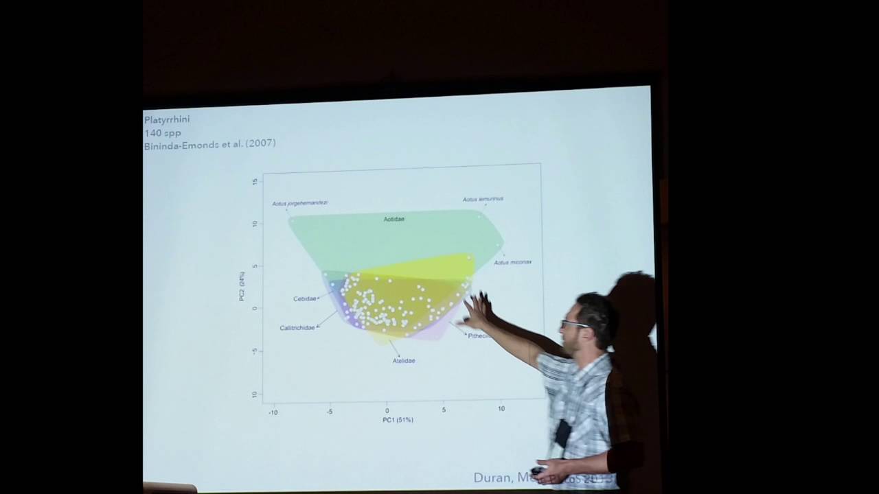 Pie:macroevolution of climatic niches & species diversity implications