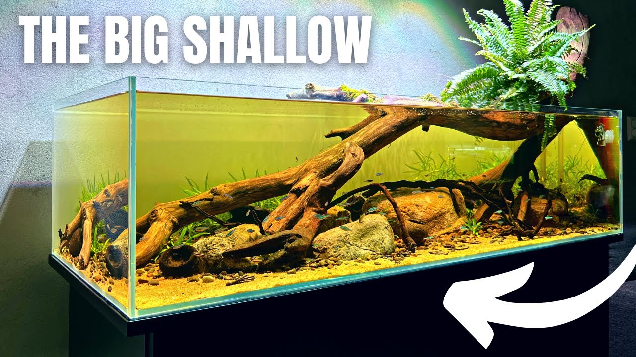 НОВЫЙ БЕРЕГ РЕКИ Амазония! Big Shallow 3.0 — полное пошаговое руководство по акваскейпу