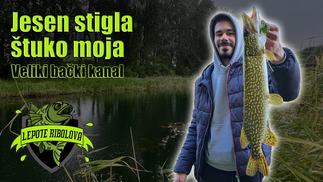 Jesenje pecanje štuke na žive mamce u bistroj vodi | VBK, Kula | Lepote Ribolova ep.56