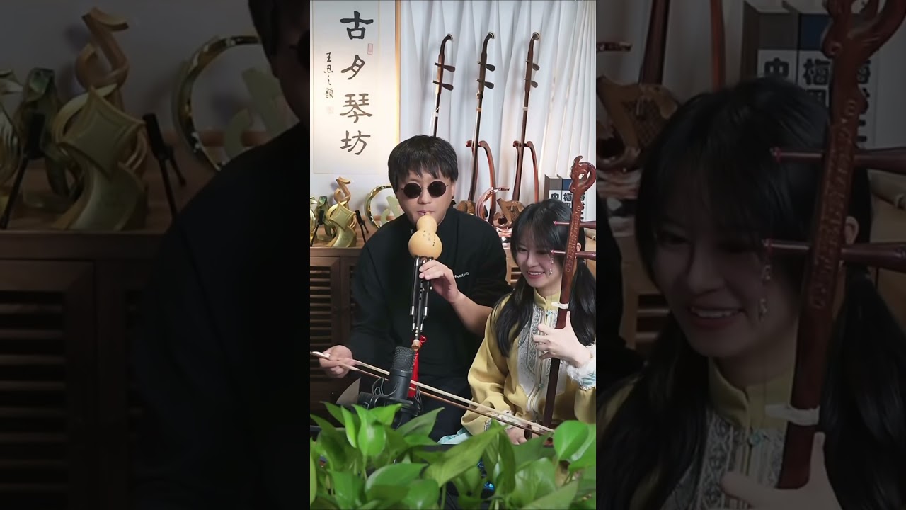 #新鸳鸯蝴蝶梦 #二饼力哥 #chinesemusic #音樂 #erhu #music #二胡