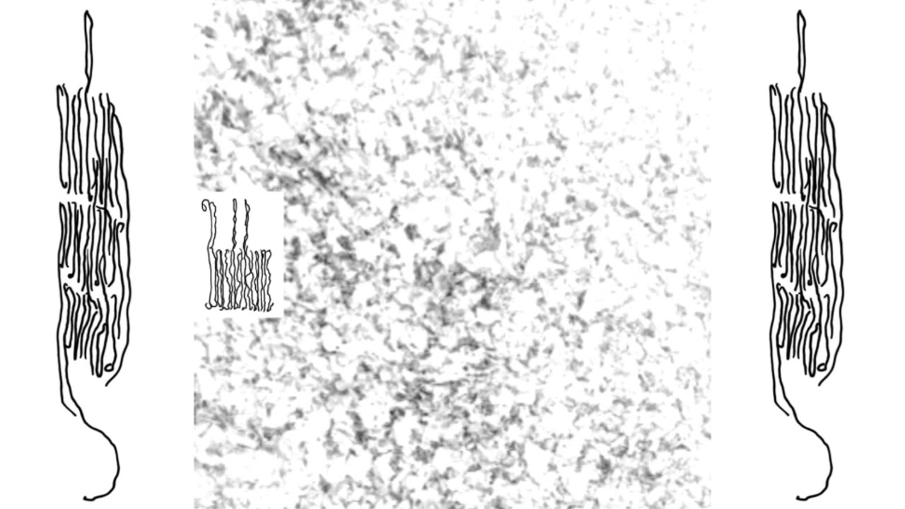 Basilikum - untitled (longer excerpt)