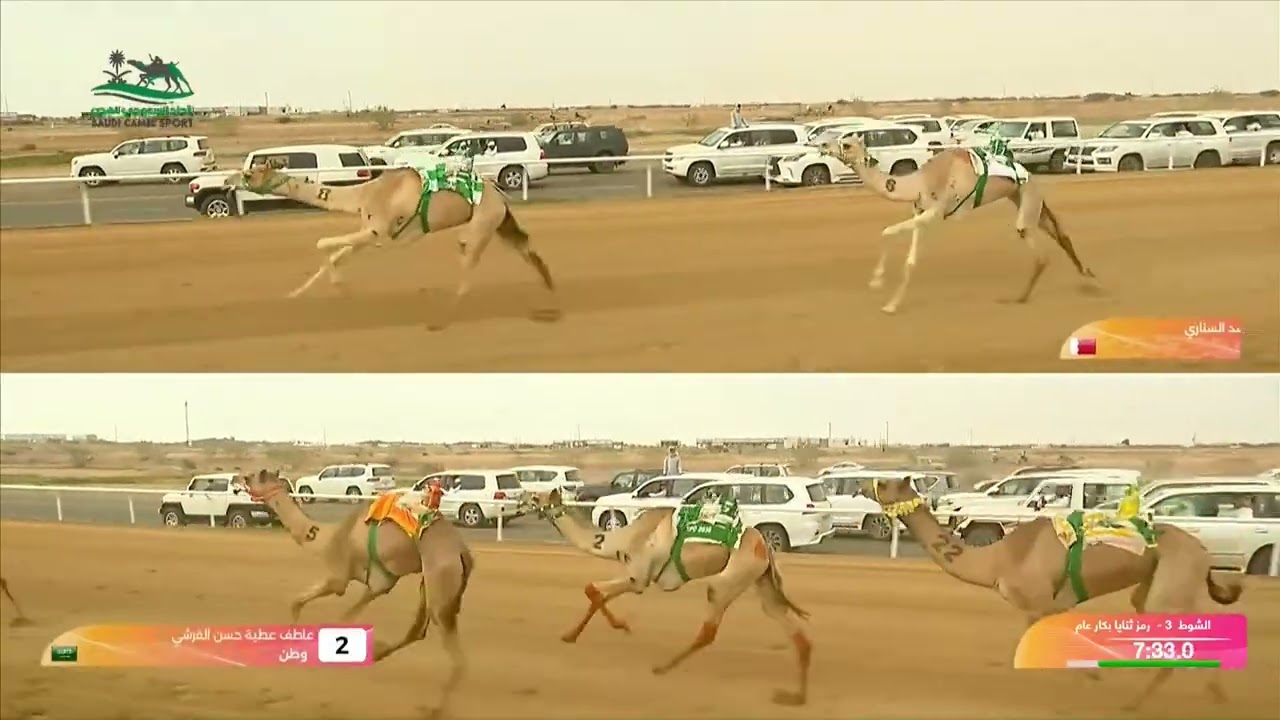 الشوط 3 كأس ثنايا بكار عام مساء يوم الأربعاء 10-09-2025 من #مهرجان_ولي_العهد_للهجن 2025