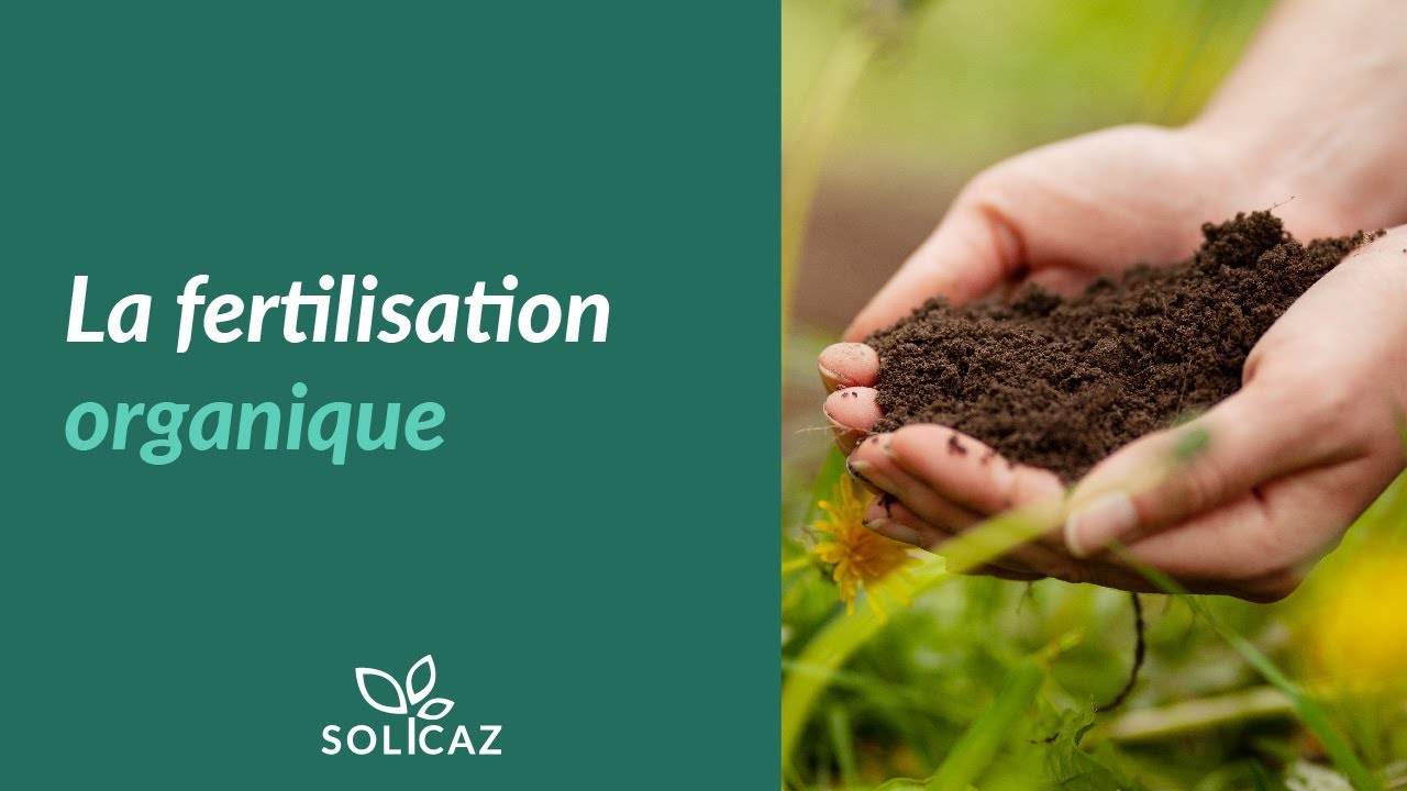 La Fertilisation organique