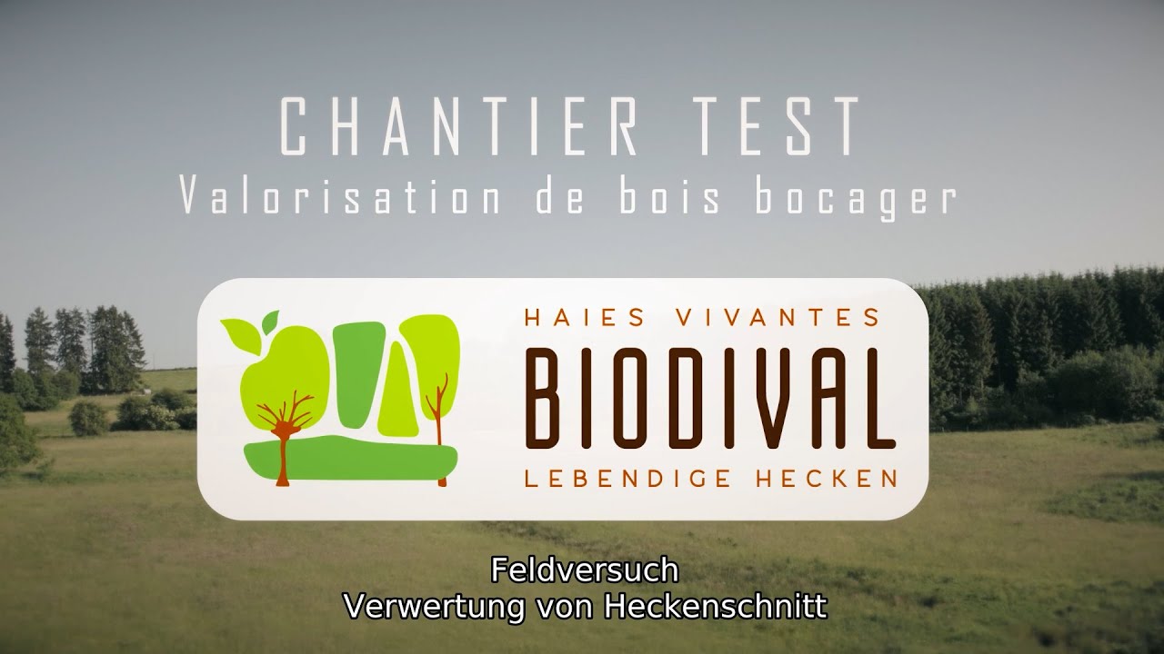 Chantier test - Valorisation de bois bocager