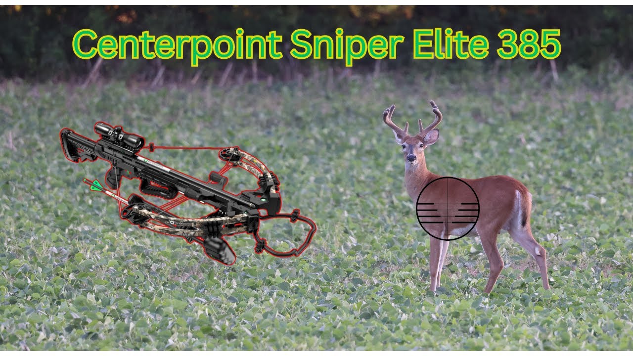 New Crossbow Unboxing!