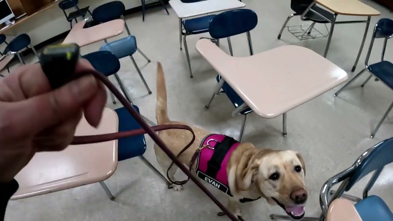 021526 ELT-P 3 Classroom 1st Place