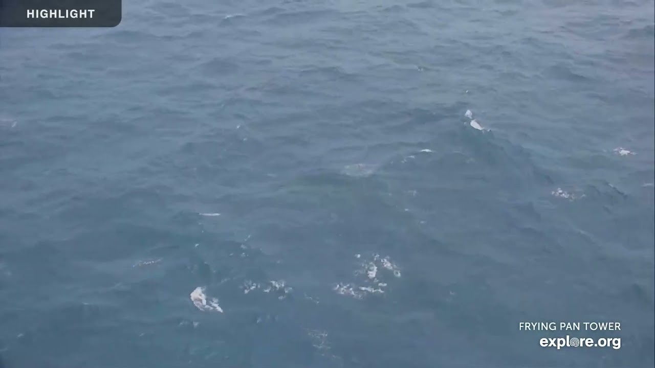 Frying Pan Tower | 2020-2025 Highlights