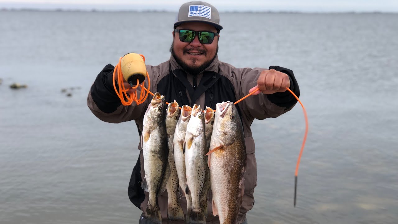Fishing Adventures! A.M. Fishing Lures 🎣