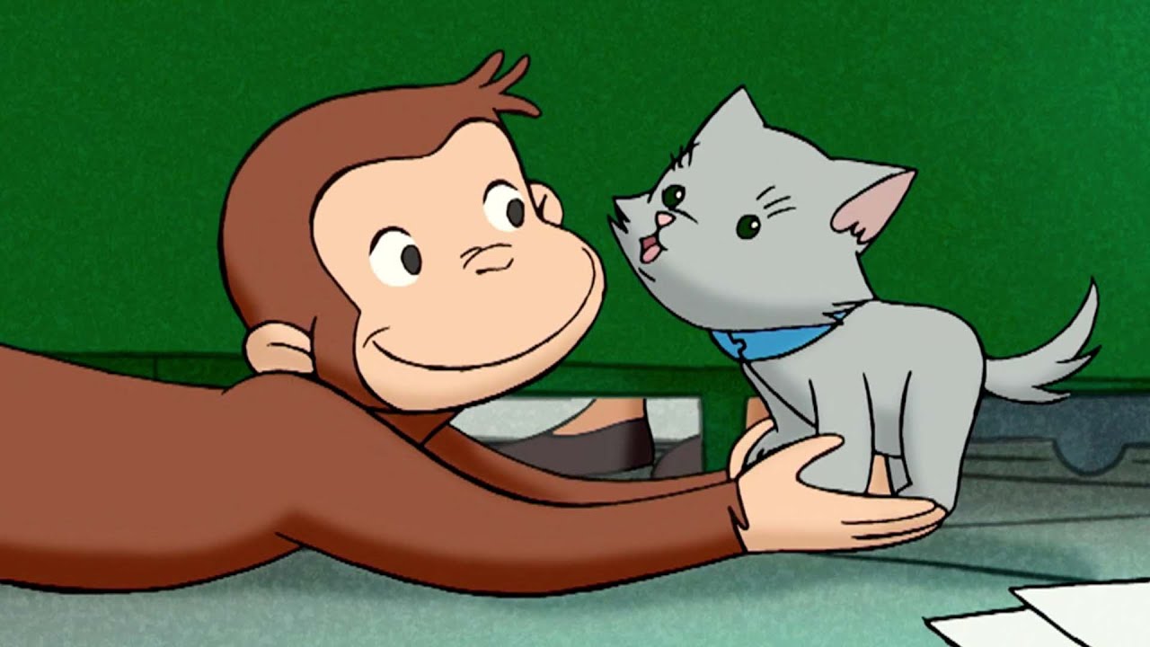 George Cuida de um Gatinho 🐵 George, o Curioso 🐵 Desenhos Animados