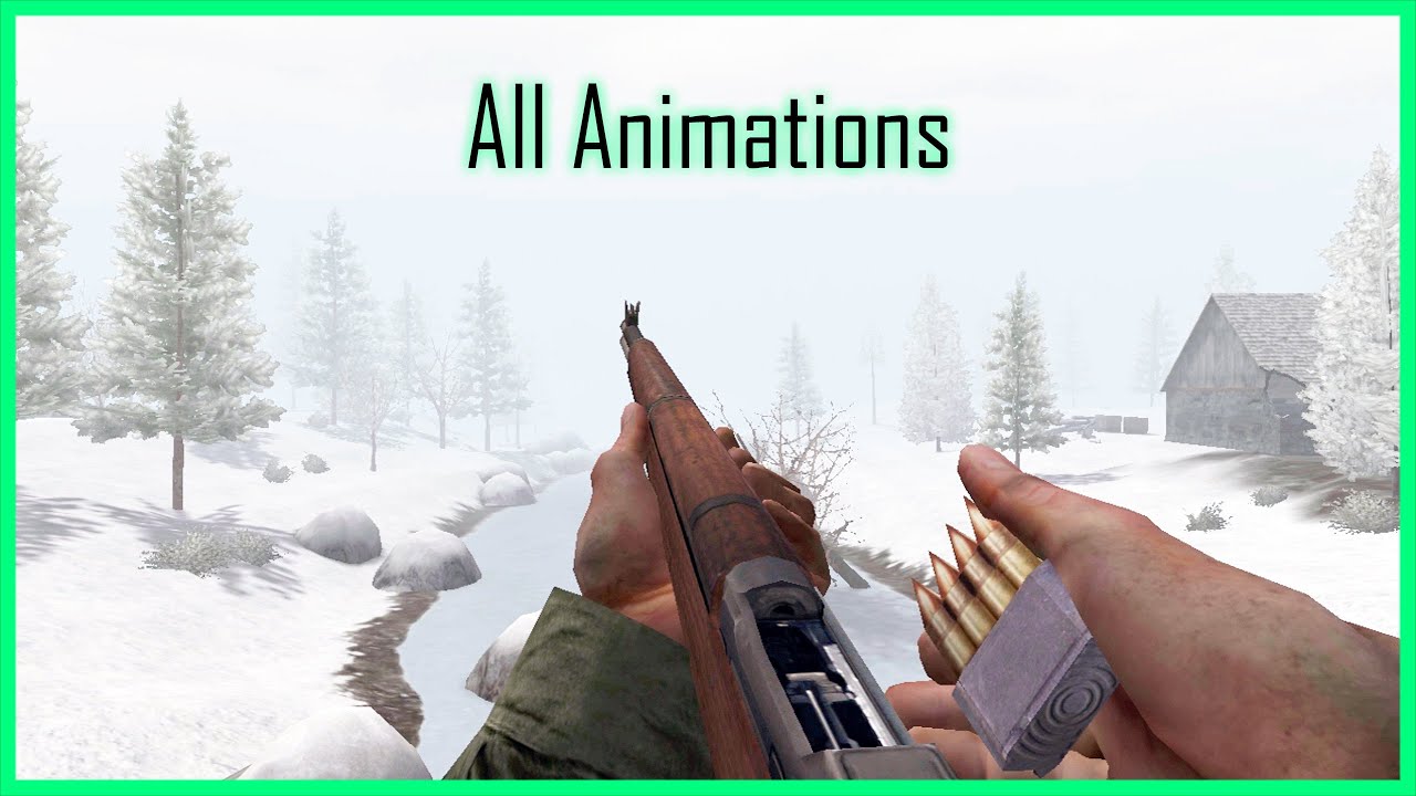 Call of Duty & United Offensive: All Weapons Animations