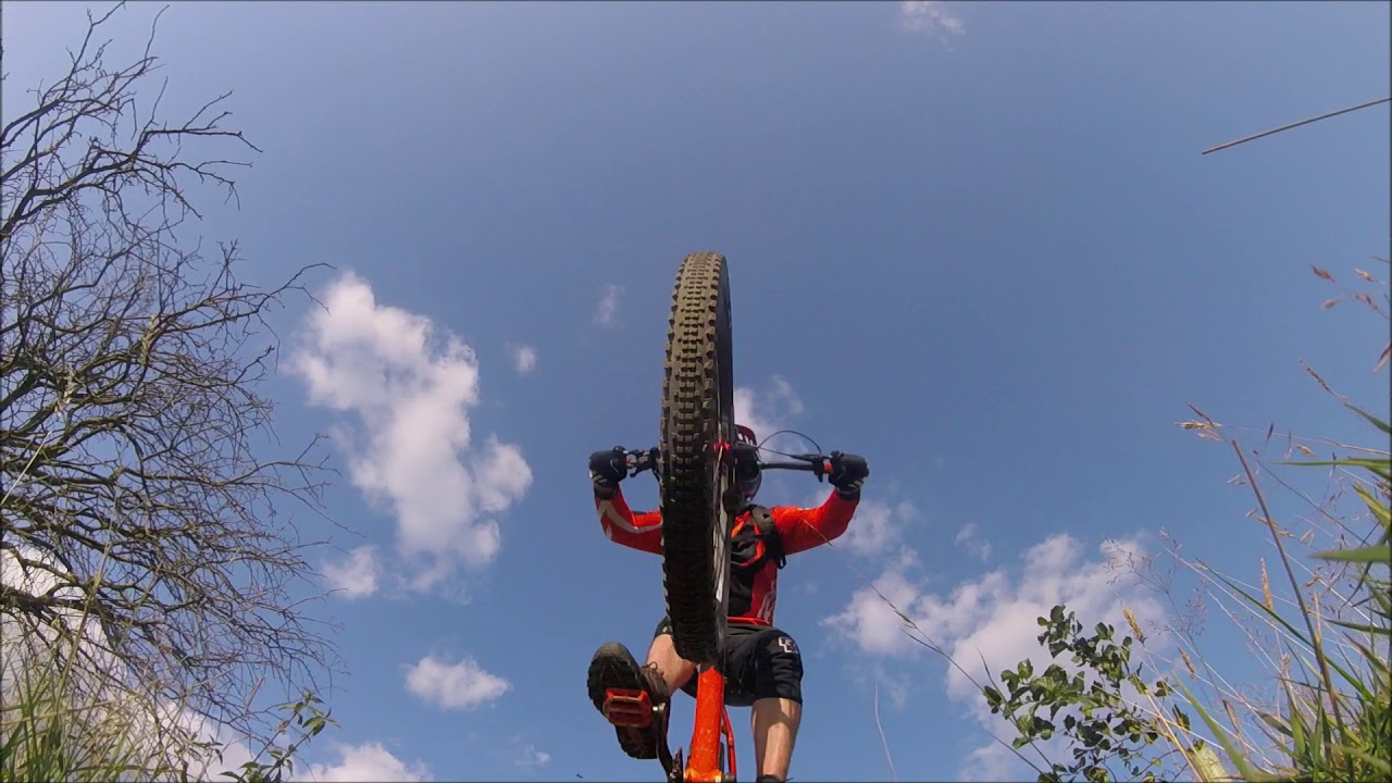 Hunting for trails in Guisborough Forest