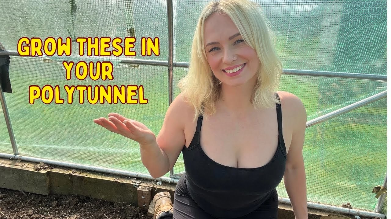 5 plants to grow in a polytunnel or greenhouse - UK