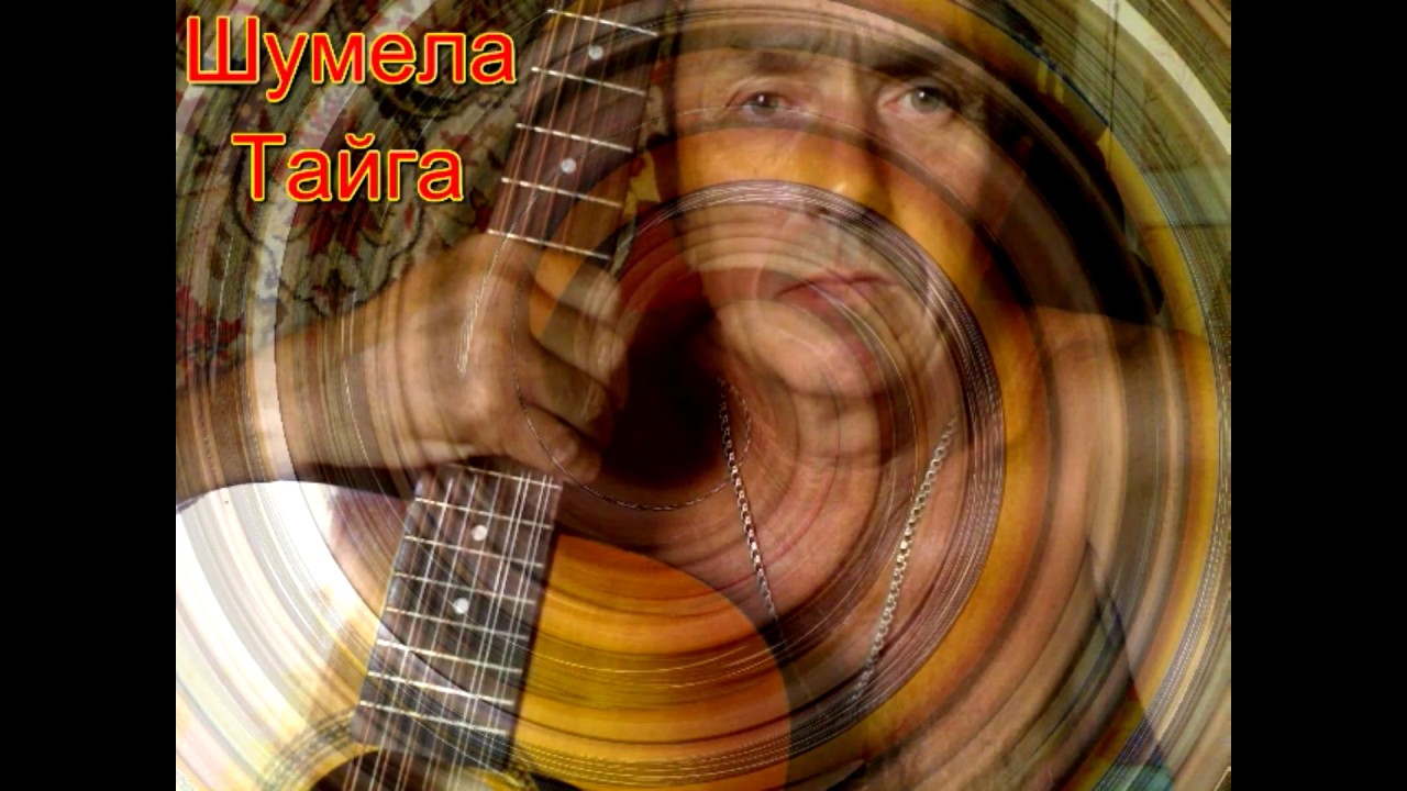 Шумела тайга