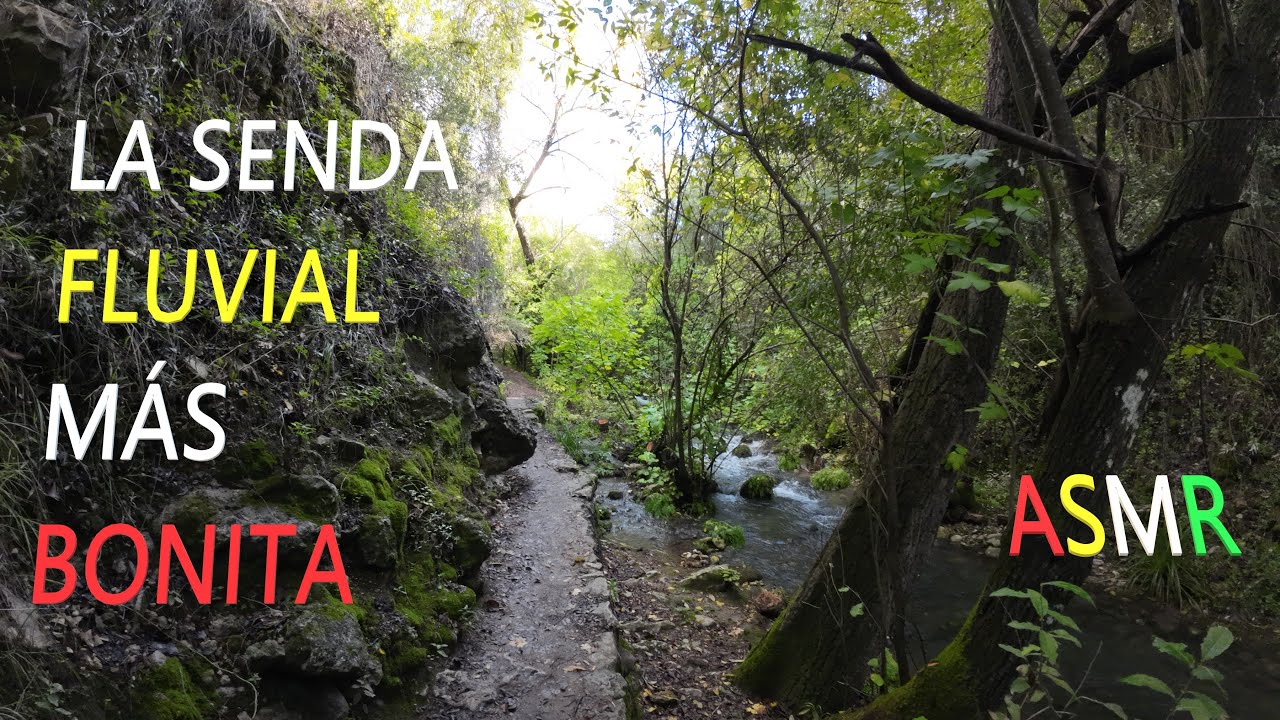 Senderismo por el r&iacute;o Majaceite entre El Bosque y Benamahoma (28-10-2023) [Unintentional ASMR].