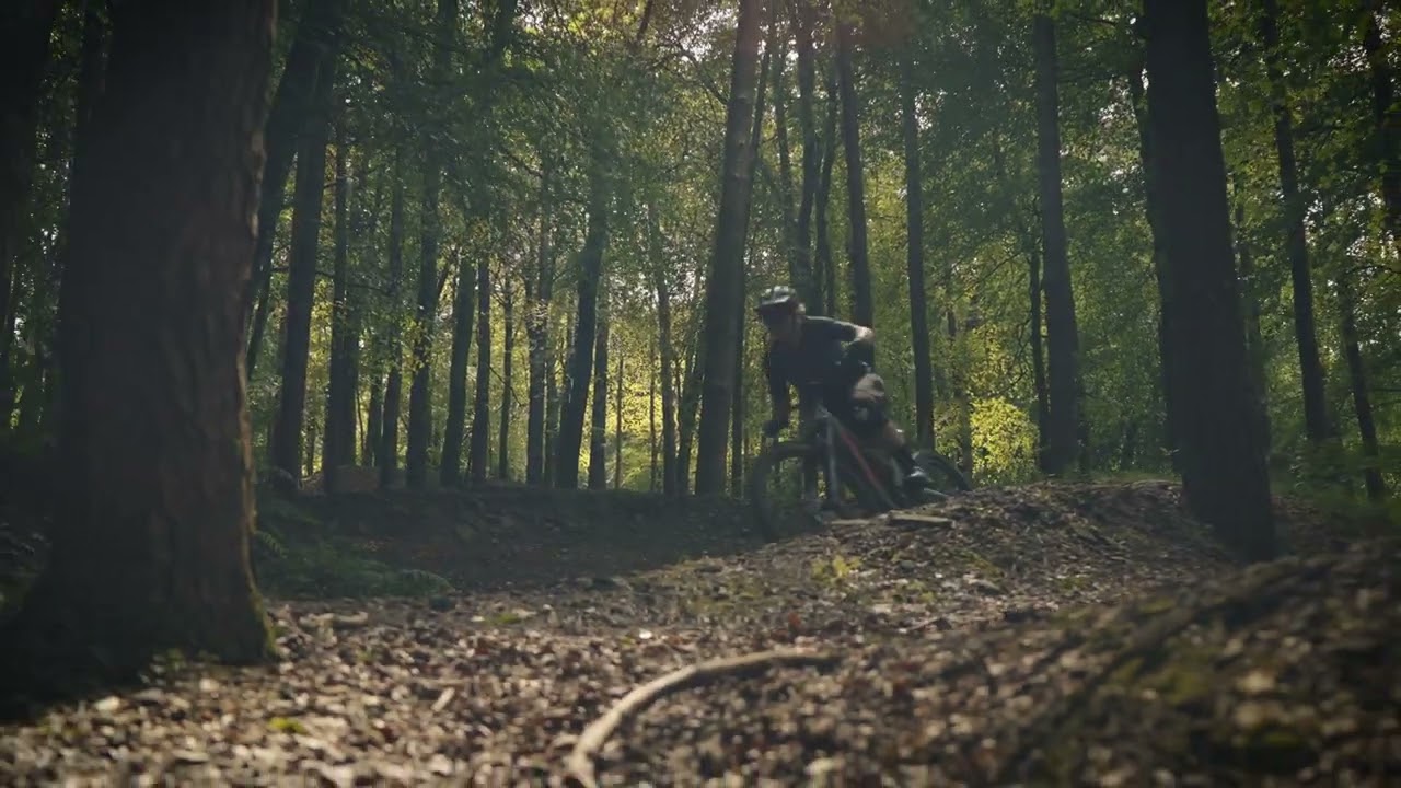 Afan Forest Park Mountain Biking