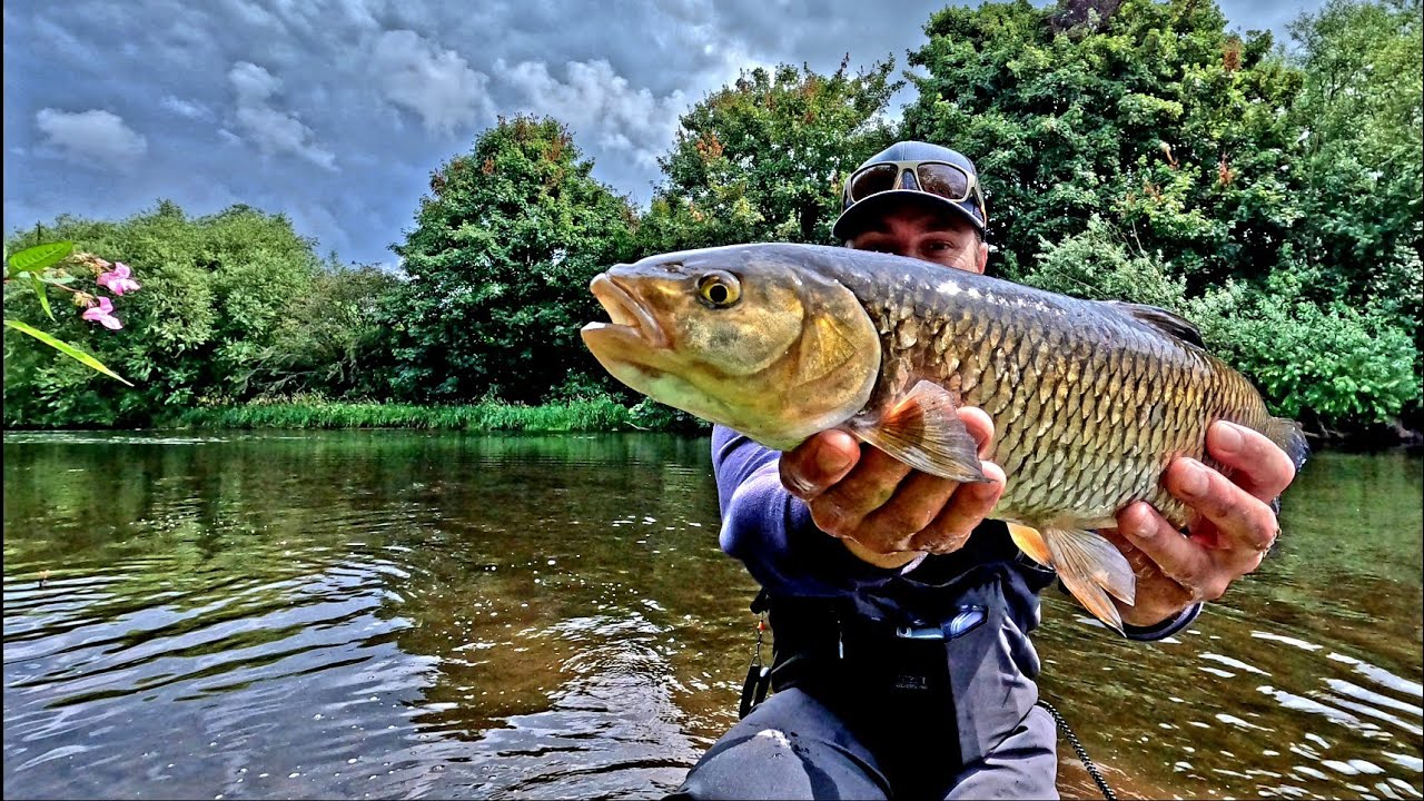Back for Chub fishing on Top Water lures !!!