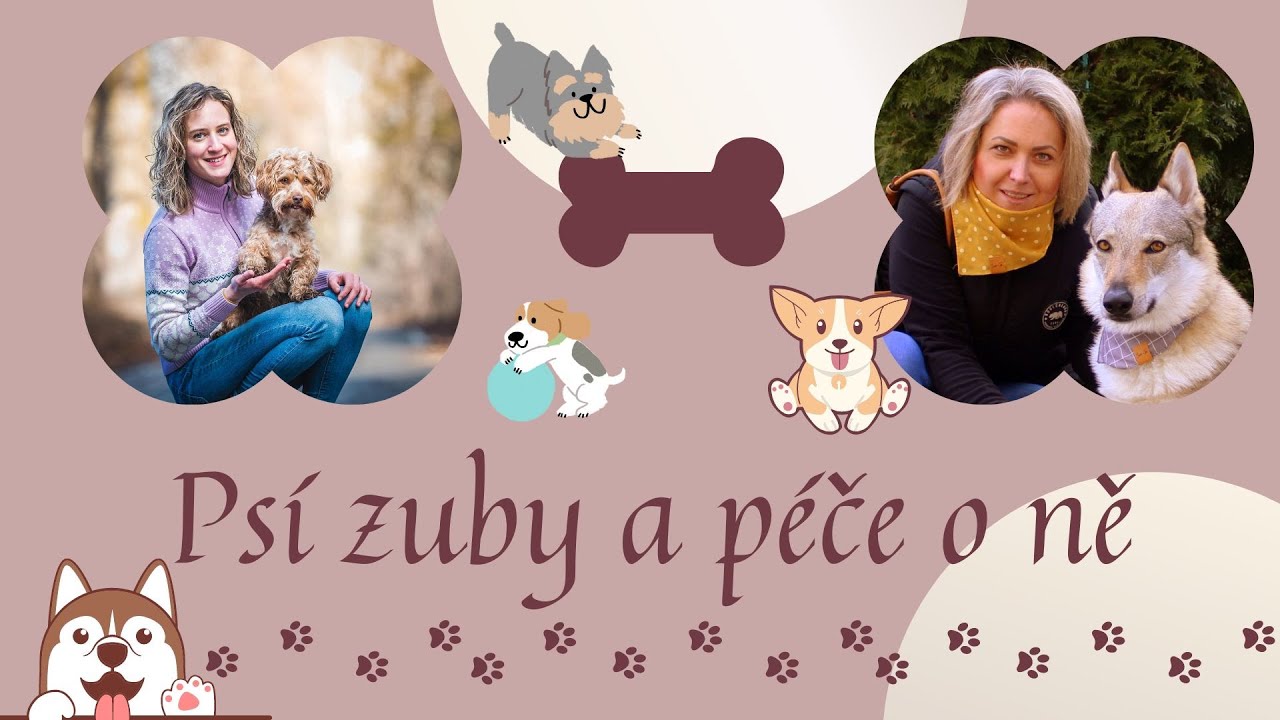 Psí zuby a péče o ně