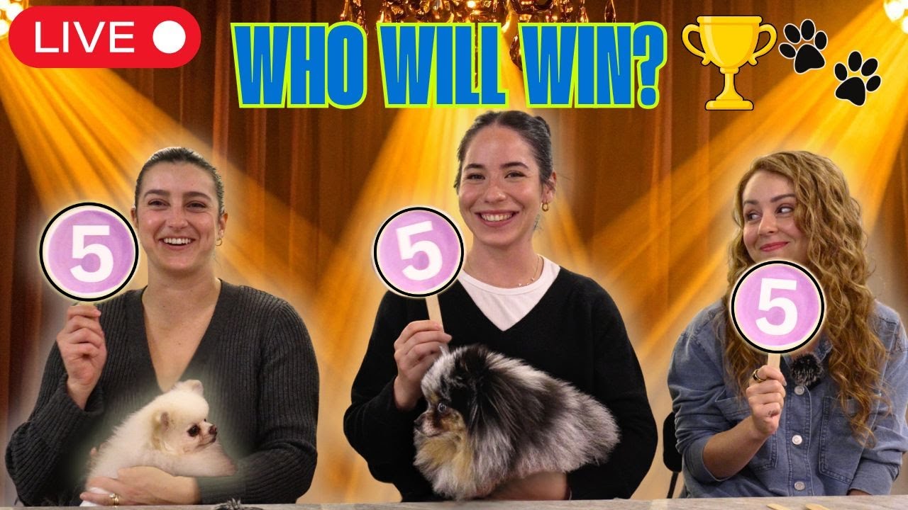 The ULTIMATE Pet Talent Show!🐾 | 4K LIVE Premiere Event