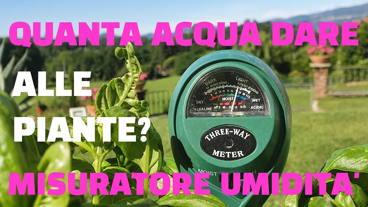 Quanta acqua dare alle piante? Misuratore umidità