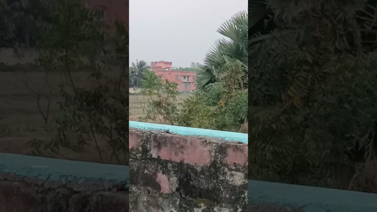Md Sultan Sk is live চারিদিকে পাখির কলরব