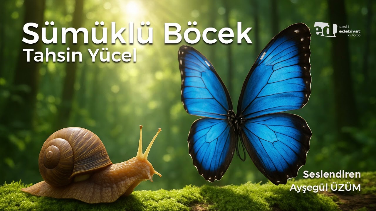 Sümüklü Böcek | Tahsin Yücel