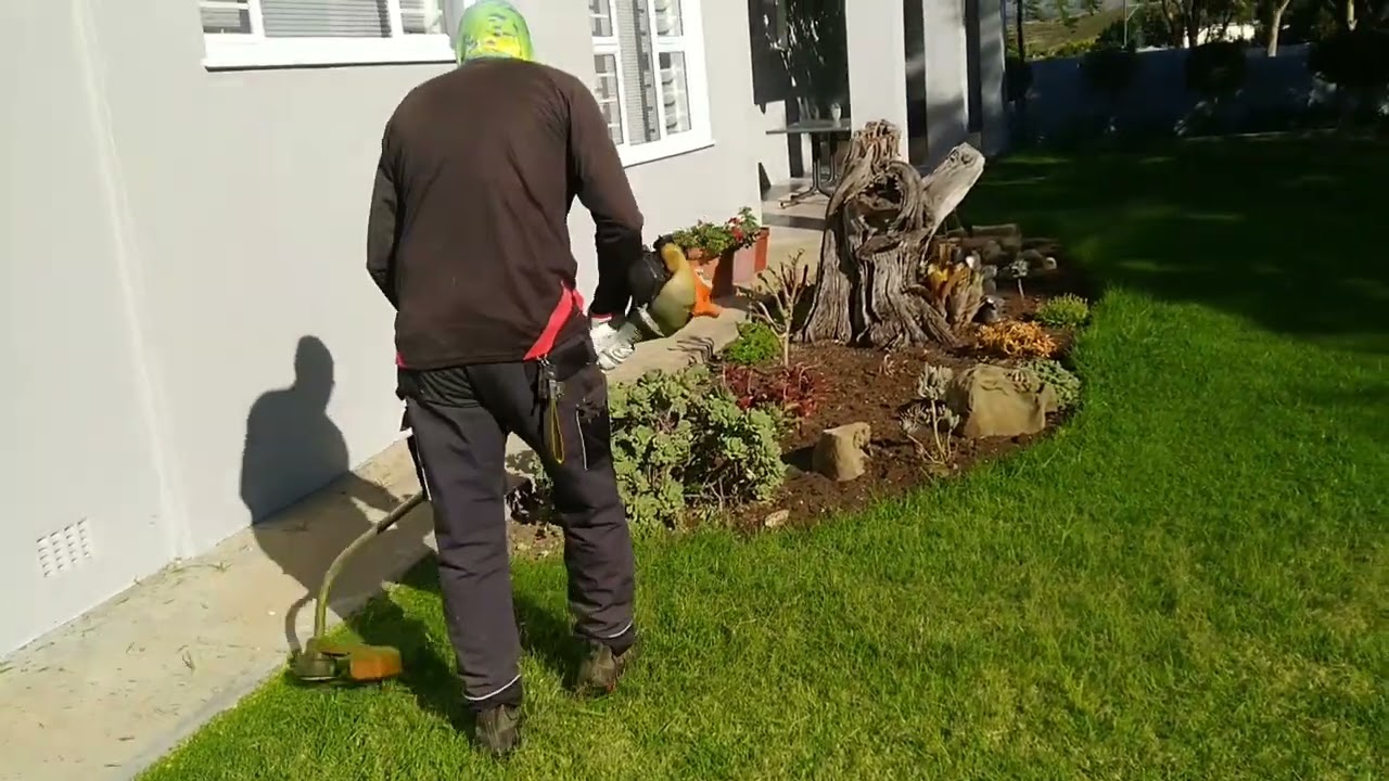 Stihl F S 45  curved shaft lawn Edging and Trimming.