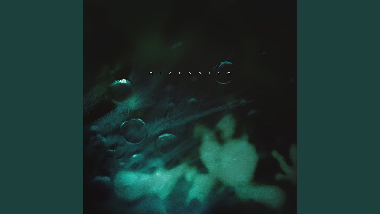 dissolution