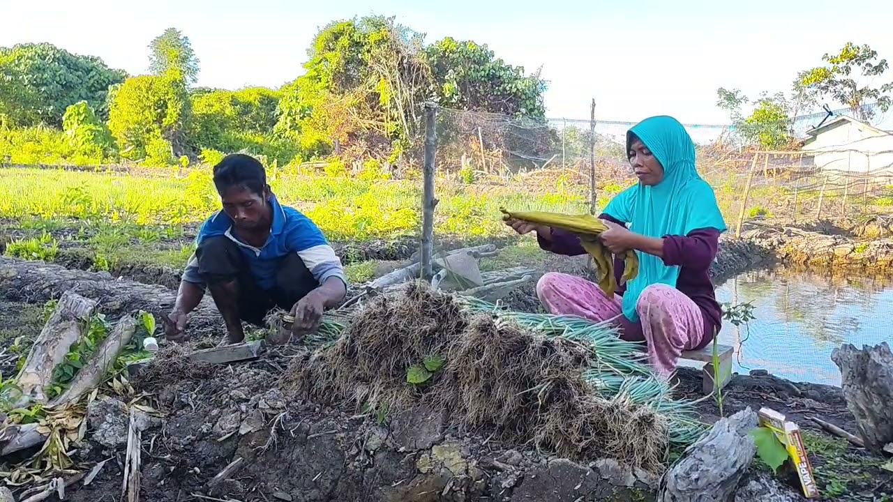 ALHAMDULILLAH DAPAT REJEKI DI SORE HARI 