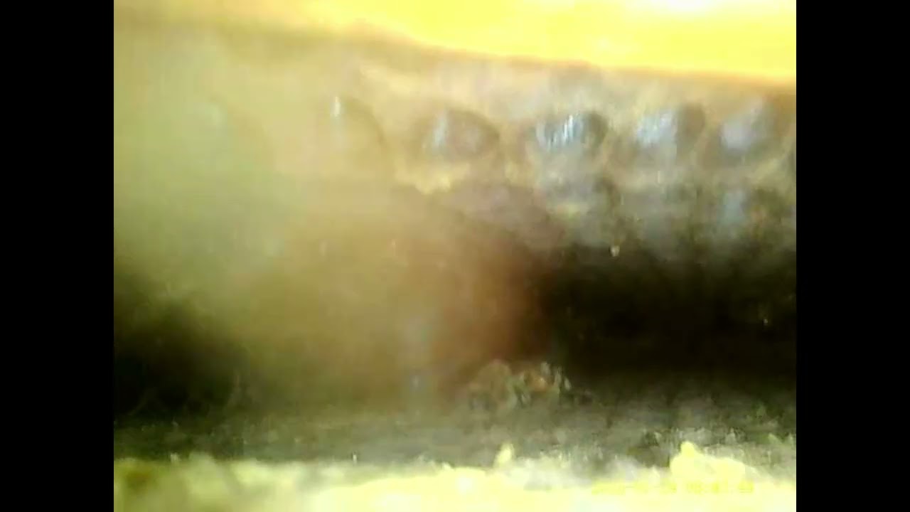 2026.01.24 VH 2