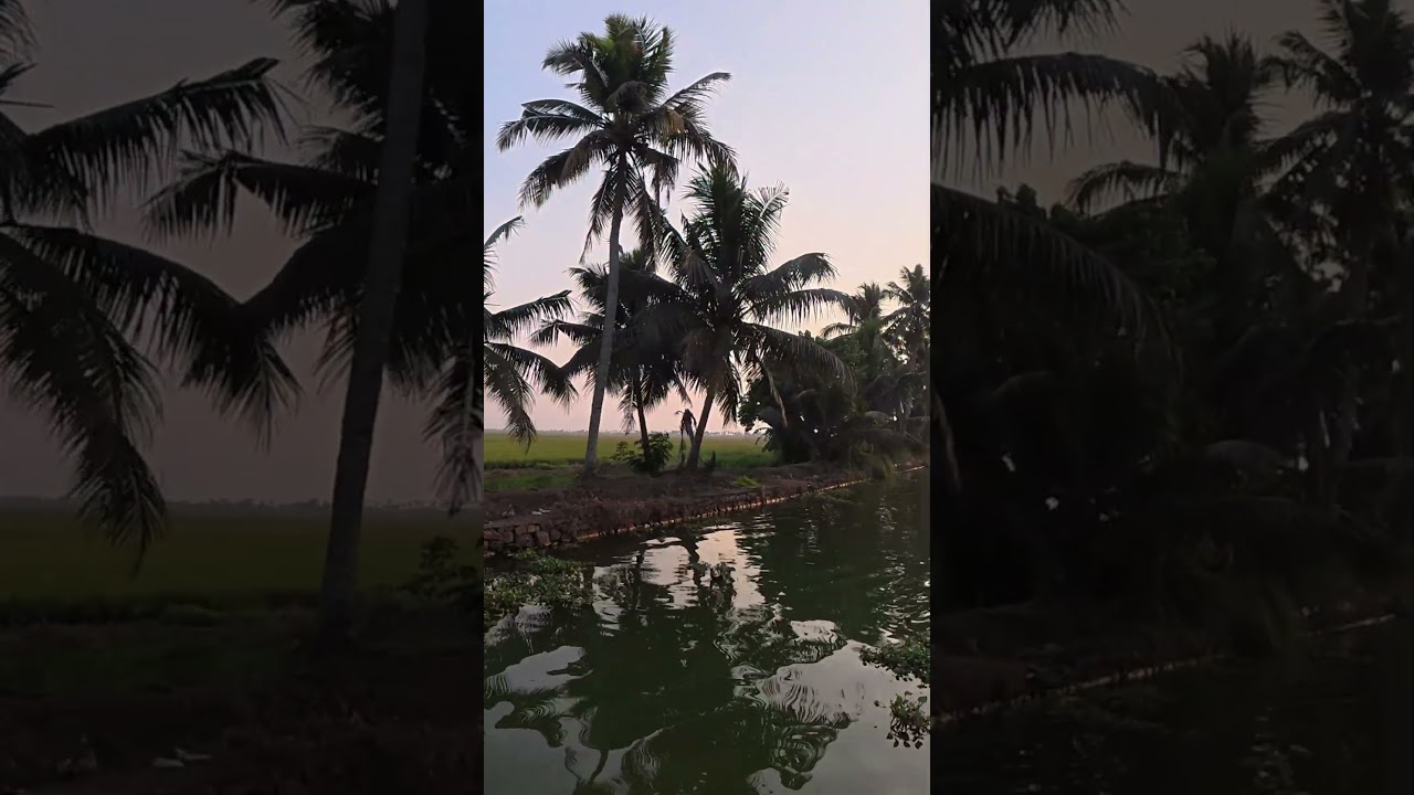 Najlepsze wrażenia w Indiach | Piękno backwaters w Kerali 😍 #shortlefttravels #southindianvlog