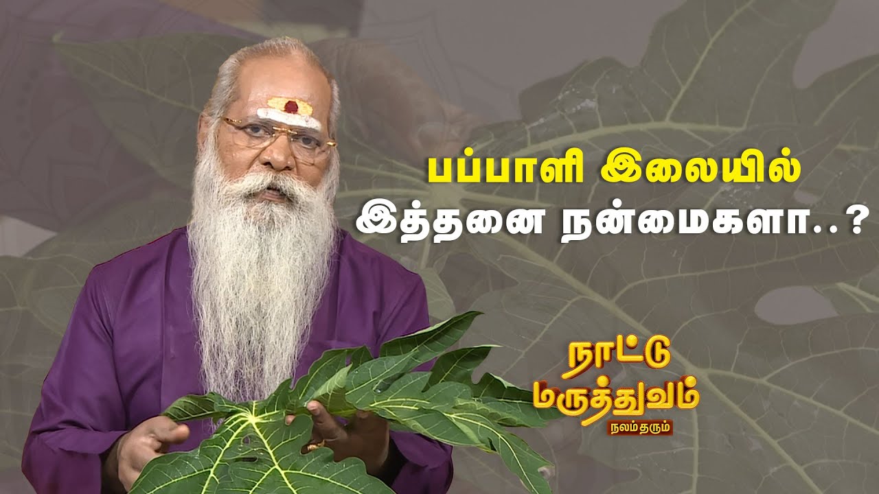 பப்பாளி இலையில் இத்தனை நன்மைகளா..? |  Nattu maaruthuvam | Sun Life