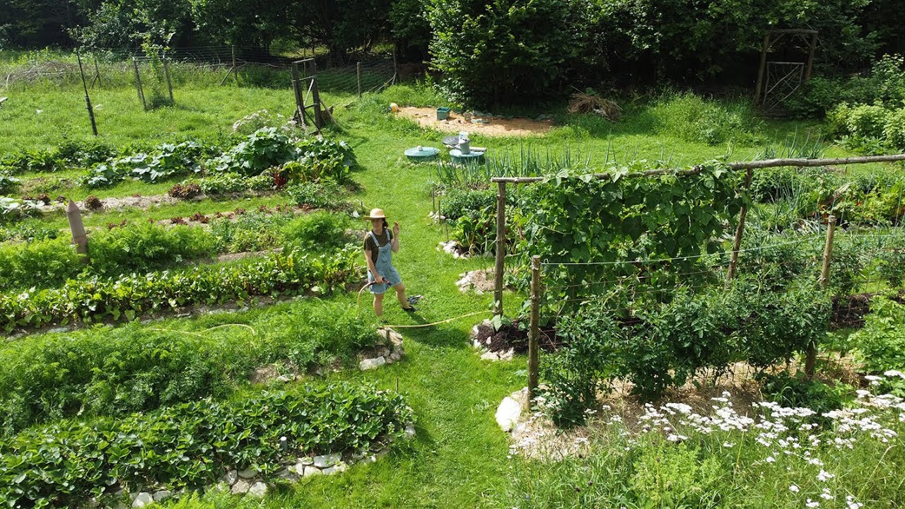 5 Years of Permaculture Gardening - Summer garden tour in Estonia