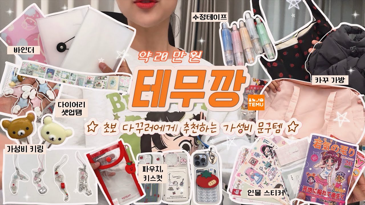 🧸𓈒 𓂂𓏸 문구덕후 + 소비 중독자의 테무깡 20만 원 하울 | ﾟ･♪⁺ 세상엔 귀여운게 너무 많아..(기절) | 가성비 + 실용성 둘 다 잡아보자 | 문구 패션 하울