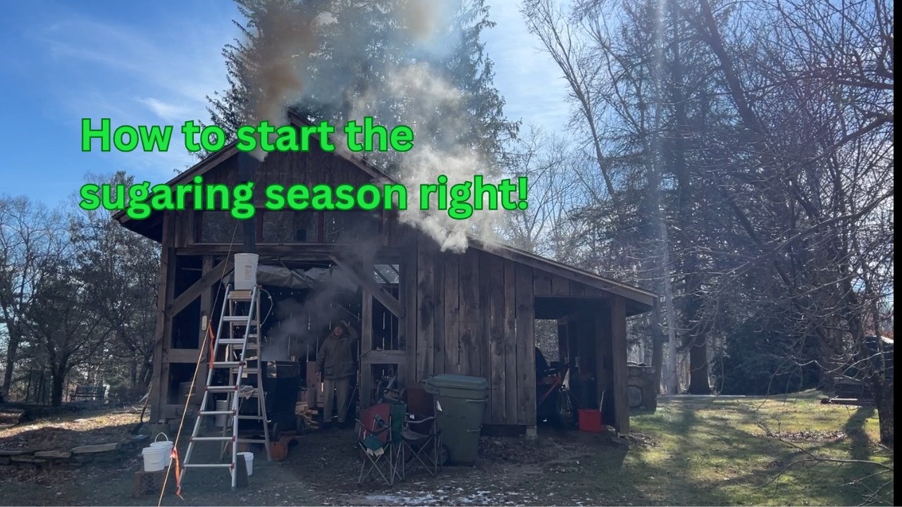 Maple Syrup Tapping Setup Done Right | Save Hours of Frustration