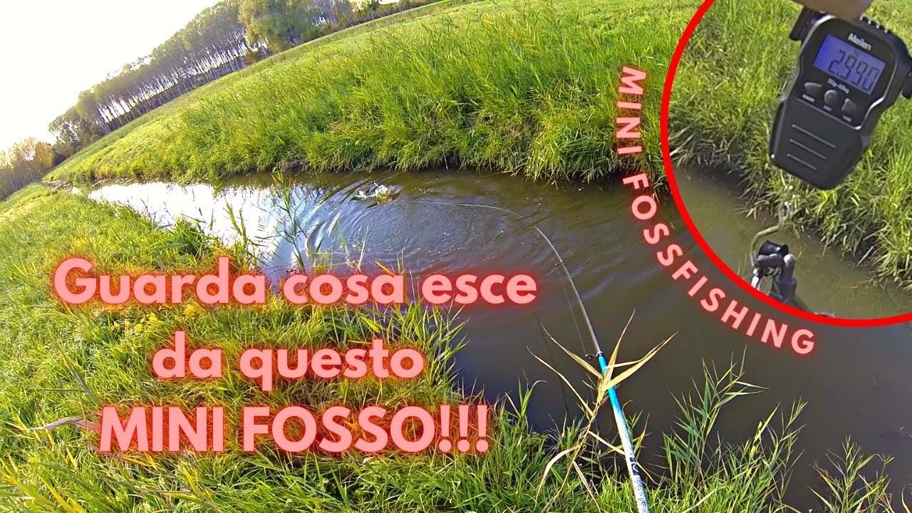 ...ma guarda che PESCI girano qua dentro!!! - FOSSFISHING