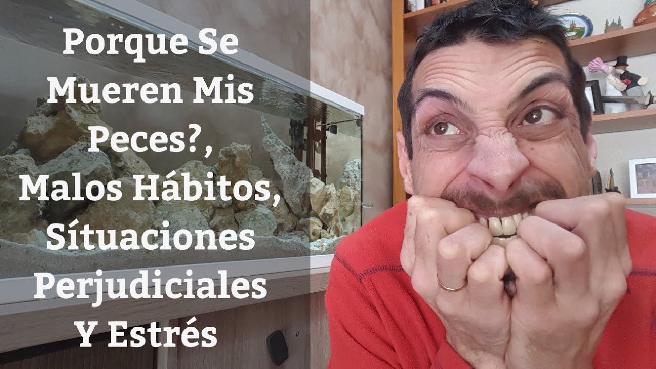 🔵 Porque Se Mueren Y Enferman Mis Peces,Como Evitar Enfermedades Y Estr&eacute;s En Peces (Acuarios MB)
