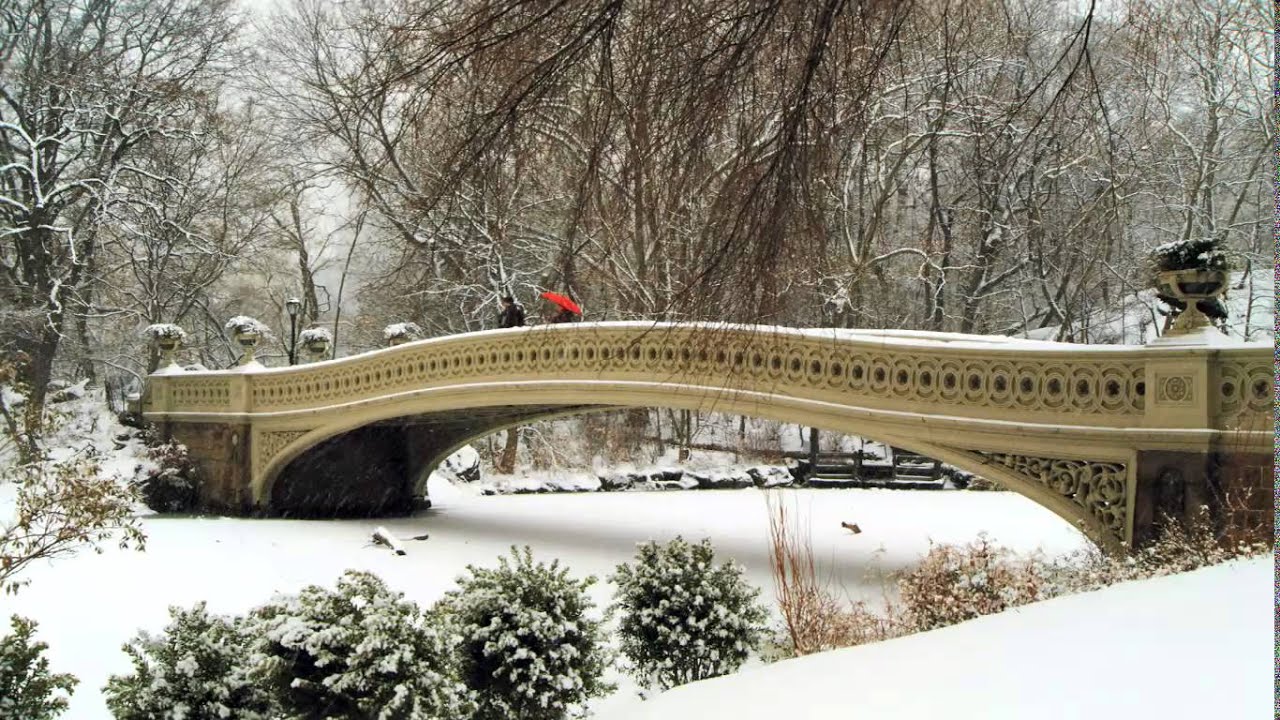 Bing   2013 12 30   Bow Bridge Central Park, New York City