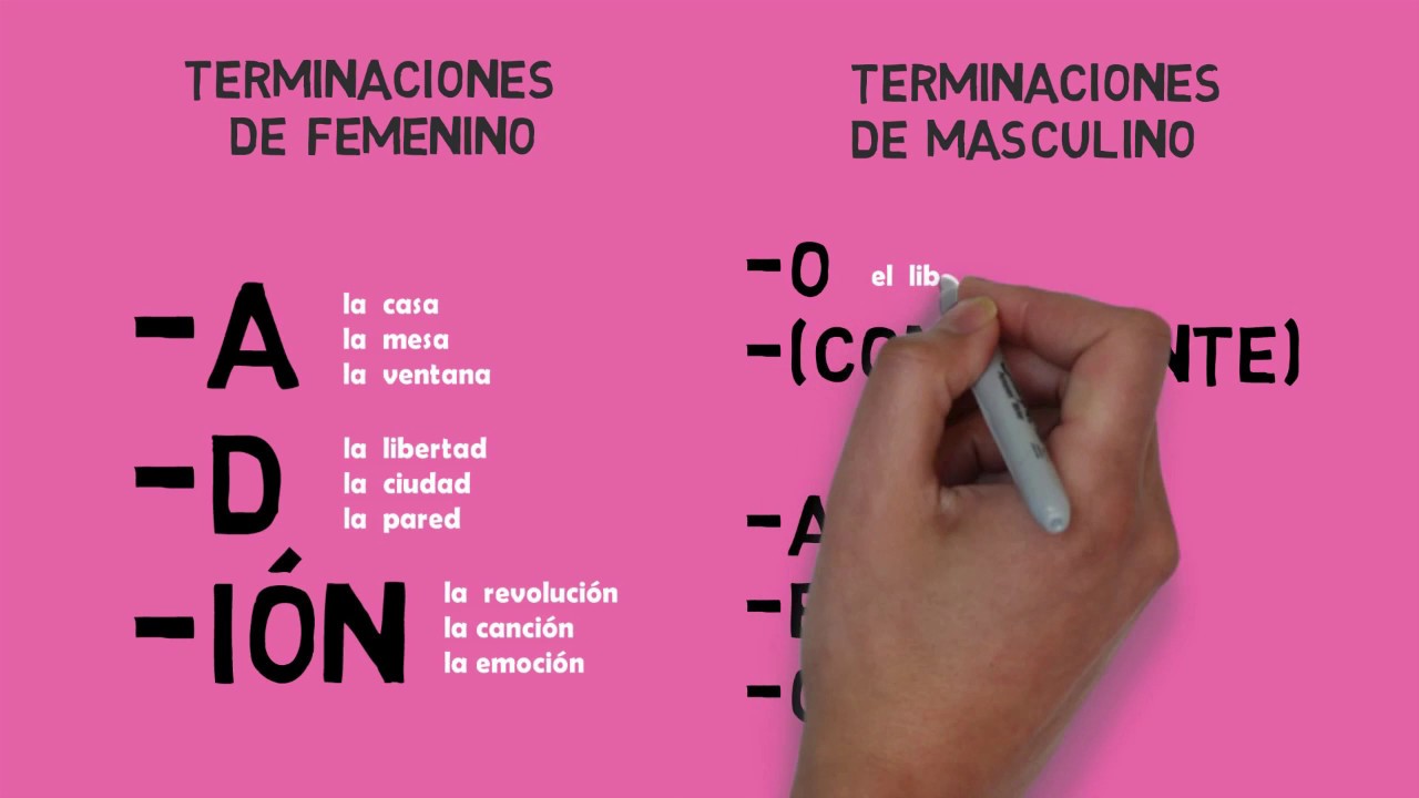 Los artículos. ¿Femenino o masculino? // aprender español