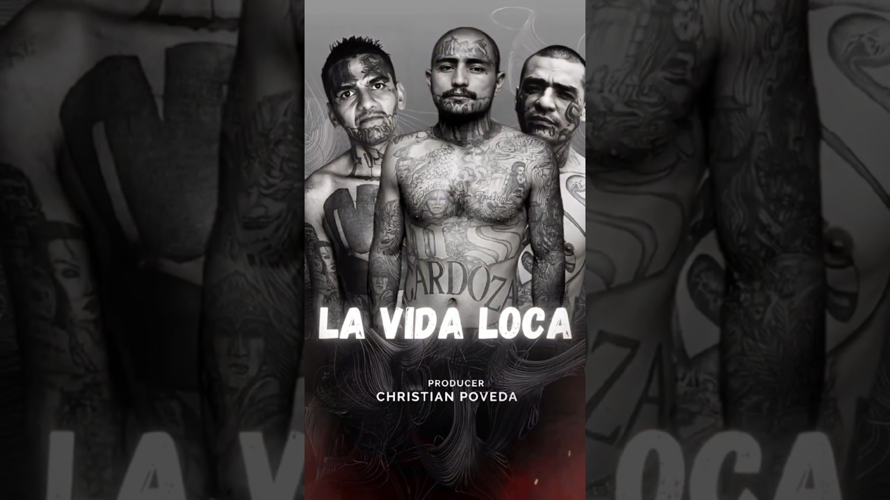 Documental 