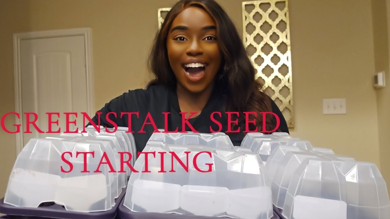 STARTING SEEDS IN MY GREENSTALK SEED STARTING KITS
